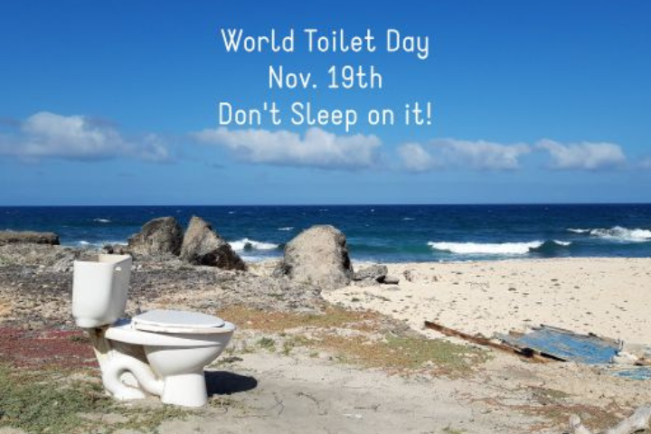 Why Is There a World Toilet Day?